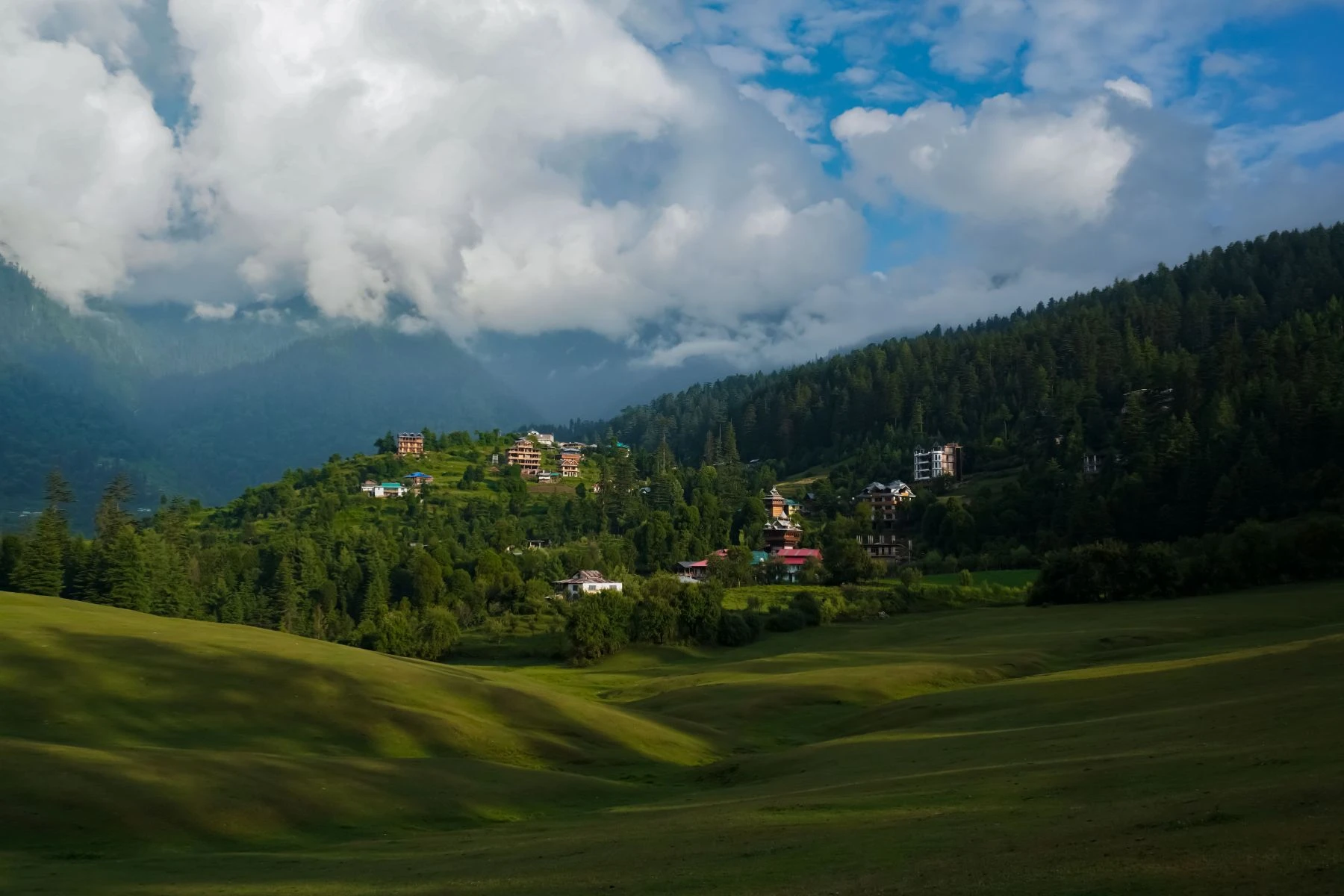 Khajjiar meadow and deodar trees